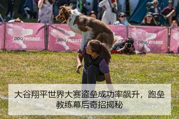 大谷翔平世界大赛盗垒成功率飙升，跑垒教练幕后奇招揭秘